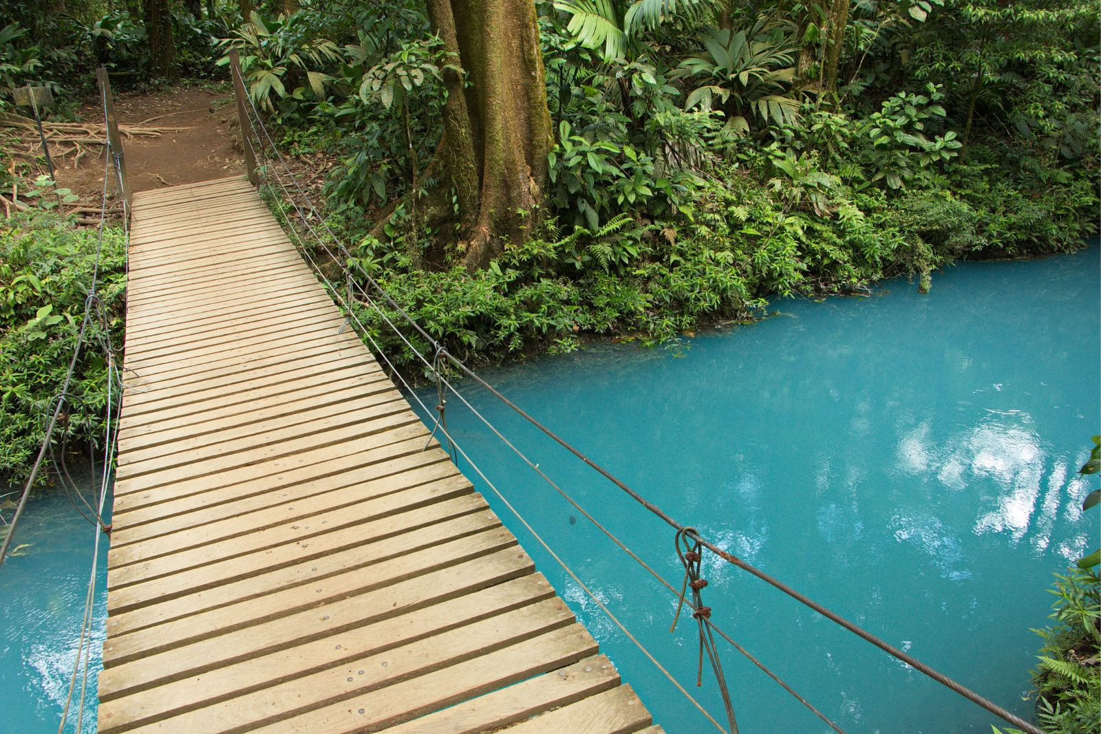 A bridge on Rio Celeste
